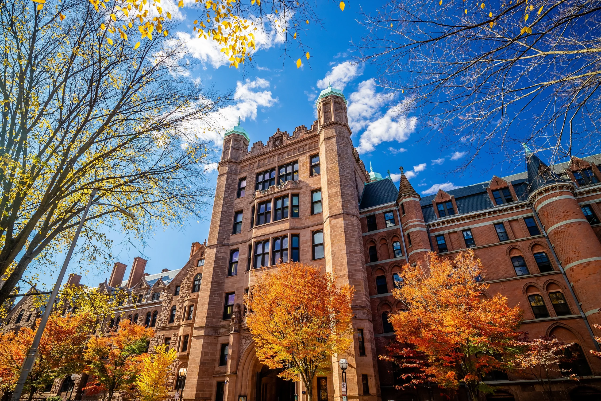 Healthcare and <br> campus gateways
